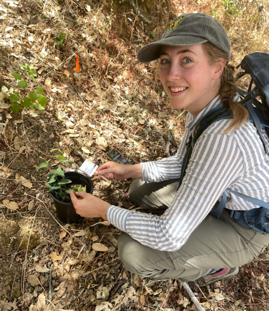 Elizabeth G. Postema